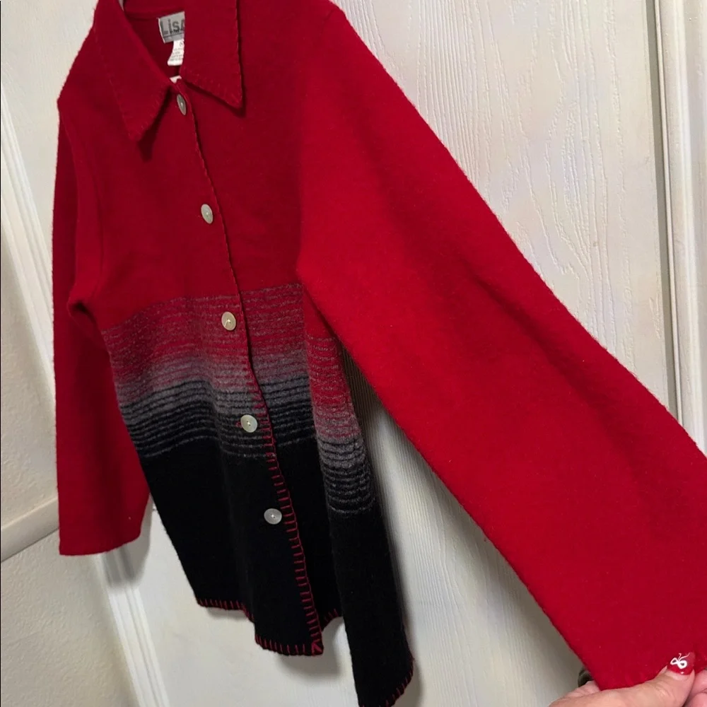 Vintage Lisa International Boiled Wool Button Down Jacket Women's M Colorblock